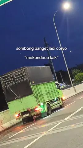 panggah ngono ae  #kerodong_mania_indonesia #blaraksumatera #gigamaniaindonesia #truckmaniaindonesia #fyp 