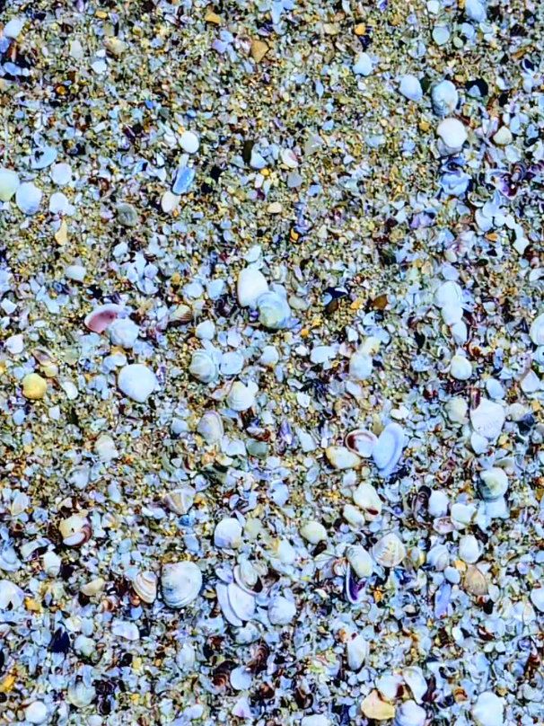 #NatureSoul #foryoupage❤️❤️ #viral #fyp #💯 