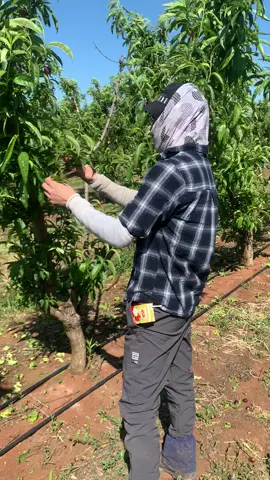 làm màu cho vui thôi