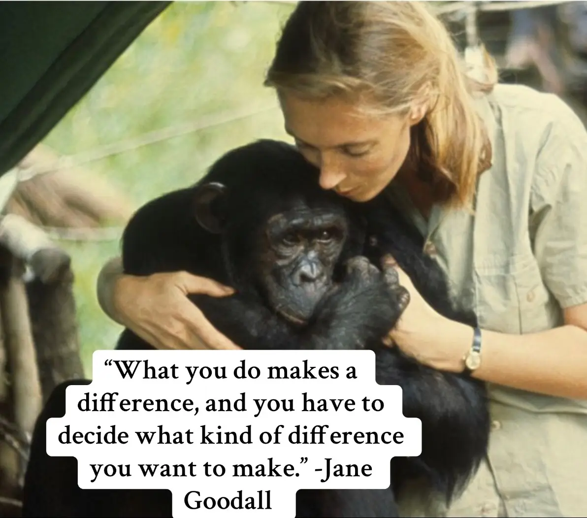 #janegoodall #fyp #ripjanegoodall 