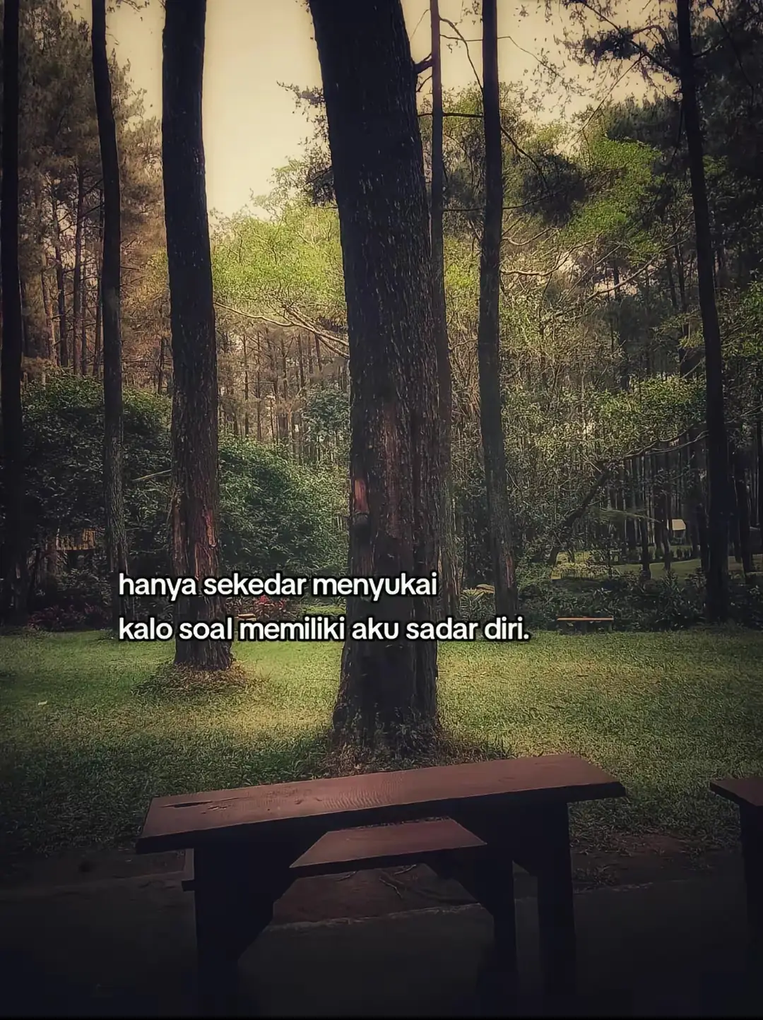 Bahan utama: Nasi Jepang (beras pulen/beras sushi) → kalau nggak ada, bisa pakai beras biasa asal agak pulen. Cuka beras (atau campuran cuka biasa + sedikit gula + garam). Nori (lembaran rumput laut kering). Isian → bisa pilih sesuai selera: ikan (salmon/tuna), crab stick, telur dadar, mentimun, alpukat, wortel, dll. Peralatan: tikar gulung bambu (makisu), atau bisa juga pakai plastik wrap sebagai gantinya. Cara membuat sushi gulung (makizushi): 1. Masak nasi sampai pulen. 2. Campur nasi panas dengan larutan cuka beras (cuka + gula + garam). Aduk rata, lalu dinginkan. 3. Siapkan nori di atas tikar gulung/plastik wrap. 4. Sebarkan nasi tipis-tipis di atas nori, jangan terlalu tebal, sisakan sekitar 2 cm di bagian atas supaya bisa menempel saat digulung. 5. Tambahkan isian (ikan, sayur, crab stick, dll) di bagian bawah nasi. 6. Gulung perlahan pakai tikar/plastik, tekan sedikit biar padat. 7. Potong-potong dengan pisau tajam yang sudah dibasahi supaya nggak lengket. Tips: Kalau mau bikin sushi nigiri, tinggal cetak nasi jadi oval kecil, lalu taruh potongan ikan di atasnya. Kalau mau sushi telur (tamago), bikin telur dadar manis tipis, gulung dengan nasi. Sajikan dengan kecap asin, wasabi, atau acar jahe (gari). selamat mencobaa!! #galaubrutal #fyp #foryouu #foryoupage 