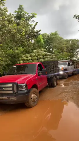 #LIVEIncentiveProgram #LIVEwithlowfollowers #PaidPartnership 