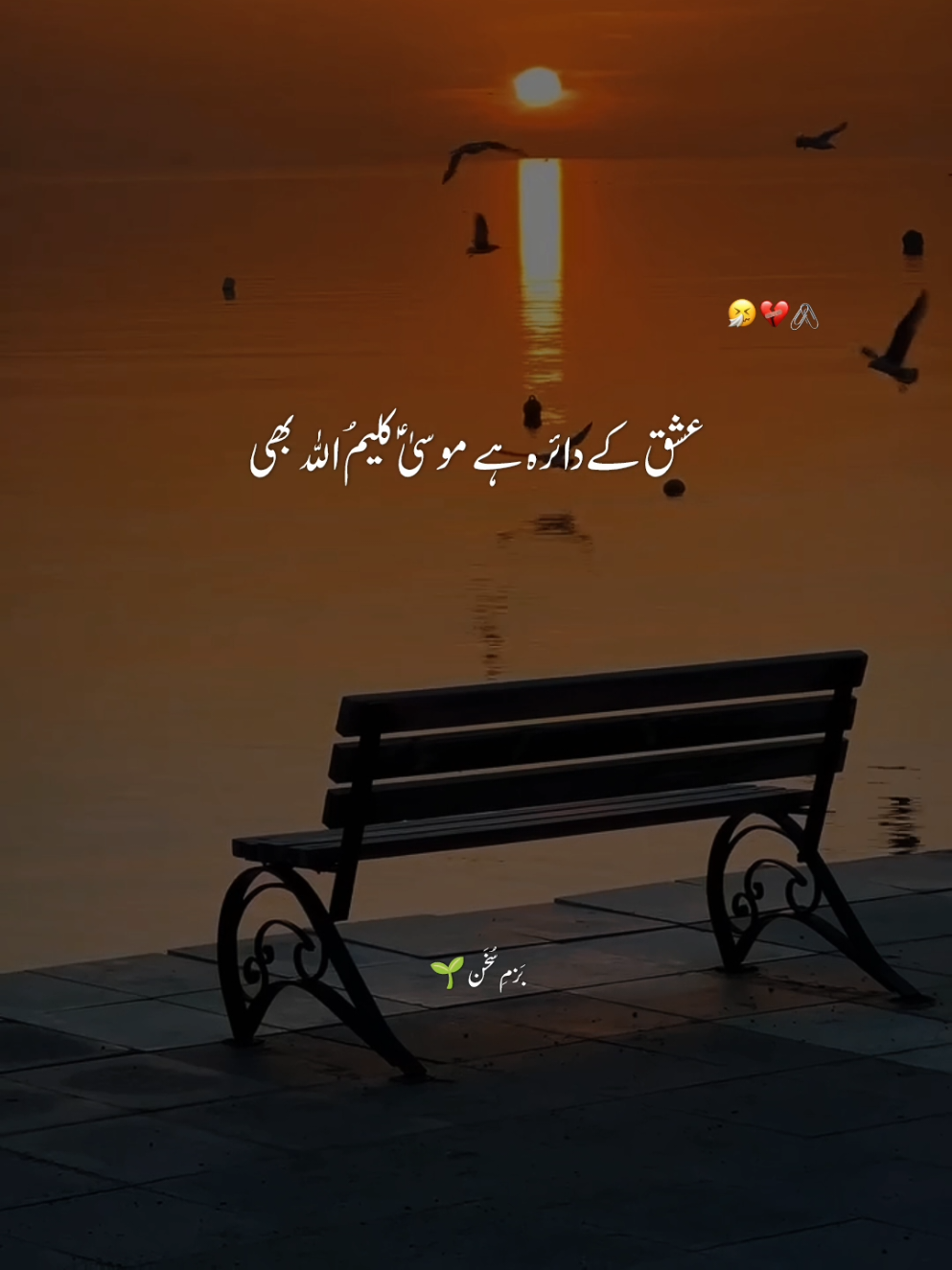 عشق کا نام تو تو نے بھی سنا ہو شاید❤️‍🔥💫🤌🏻🕊️💯🥀❤️‍🩹🫀❣️⚡✨🪽 #بَزمِ_سُخَن #foryoupage❤️❤️ #fypシ゚viral🖤tiktok #urdushayari #poetry 