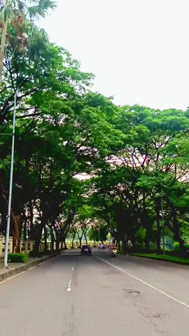 kawasan epicentrum Menteng Pulo jaksel Ambil free (gratis) Siapa tau bisa sedikit bermanfaat 🙏 Footage in jakarta dan sekitarnya #fyp 