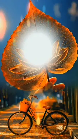 صباح السعاده 