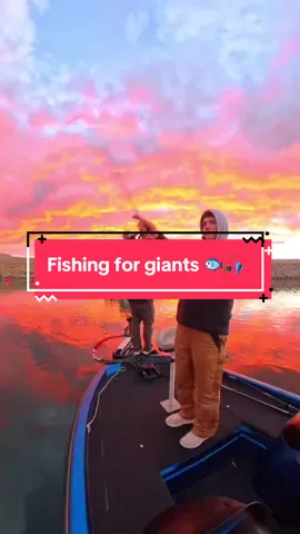 I Caught the PRETTIEST Fish @Muskyjohn_ 🐟🎣 #fishing #fishingvideos #capcut 