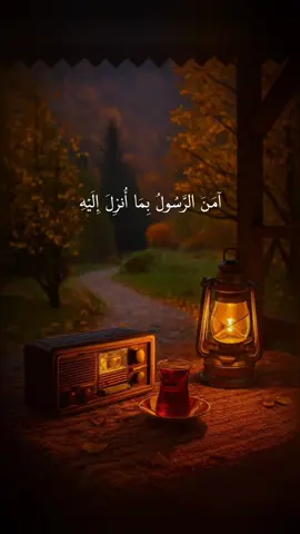 #مەنشاوی #المنشاوي #محمد_صدیق_المنشاوي #الشیخ_محمدصدیق_المنشاوي  #quranmanshawi 