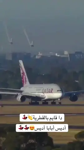 #قطر_الدوحة🇶🇦 #تصويري📷 #♥️♥️♥️♥️ 