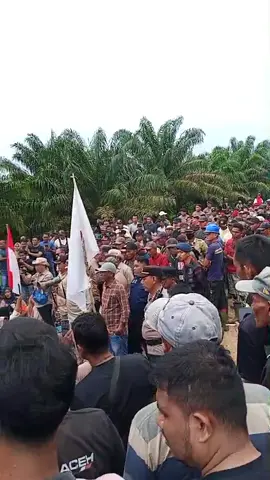 #demoptpncorgirek #aceh #masyarakat #fyp #acehutara 