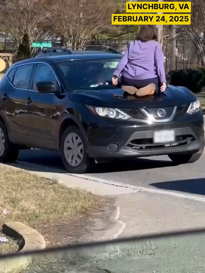Chaos ensued on a Monday afternoon in Lynchburg Virginia as onlookers got to witness a woman expressing a bit of road rage On February 24 2025 Nancy C #vYV8