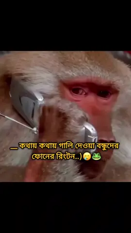 #foryou😂🥀#tag_your_friends  #capcut #tiktokbangladesh#🐸_পিচ্চি_ভাইয়া_🐸  @tiktokbangladeshi7 