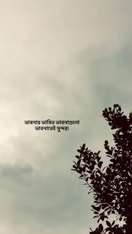 ভাবনায় ভাবিত ভাবনাগুলো ভাবনাতেই সুন্দর!#fyppppppppppppppppppppppp #Fahim 