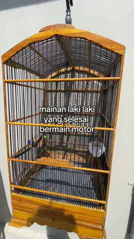 Wes kesell#cendetmania #cendetmaniaindonesia #cendet 