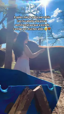 Mi Tapatío 🥺🤎 #parati #fyp #caballos #cuartodemilla  