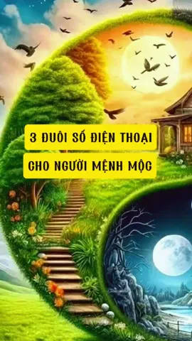 Cặp đuôi số điện thoại cho người mệnh mộc cùng e xem đúng không nhé #simsodep #simphongthuy #phongthuy #tongkhosimsodep