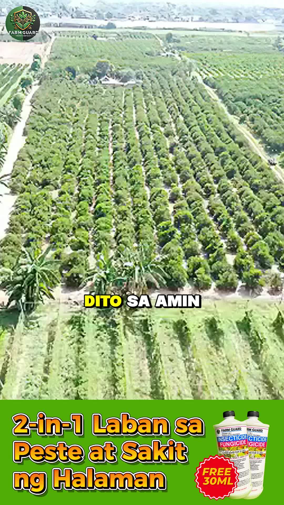 🌱 FARMGUARD – Laban sa Peste, Laban sa Fungus! 🌱
#FarmGuard #AniSigurado #MasaganangAni #FarmProtector #OrganicFarming 