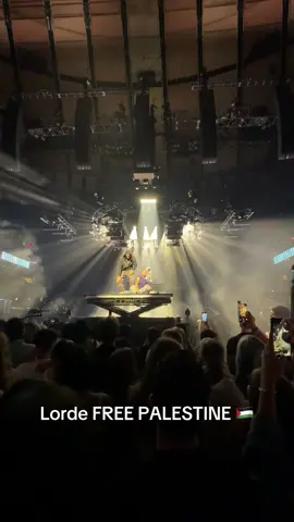 Ultrasound Tour #Lorde #freepalestine #newyork 