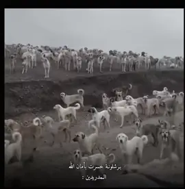 ساנة ؏ الحگ ساנة  😂👍🏻 #برشلونه_عشق_لا_ينتهي💞🔱🏅#ميسي_افضل_لاعب_بالتاريخ_🇦🇷🎶 #برشلونة_اكثر_من_مجرد_نادي❤💙 #الشعب_الصيني_ماله_حل😂😂 #اللهم_عجل_لوليك_الفرج🙏🌿💝 