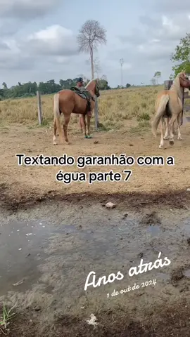 #anosatrás 