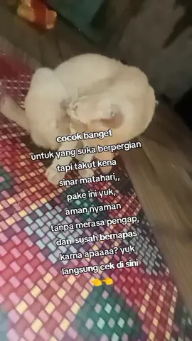 #promoseruweekend #fyp 