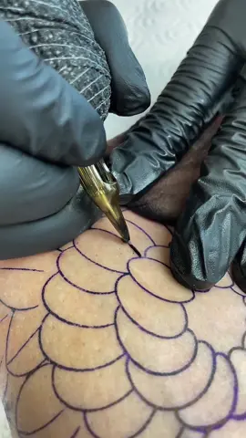 Đoạn ngắn cận cảnh đi nét bông hoa Cúc bằng kim 15rl cực kì mướt #tattoo #fypシ゚viral #TAnhArt🔥 #xuhuong #xamhinhnghethuat 