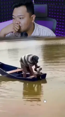 #yourdudh #yourdudhreaction 