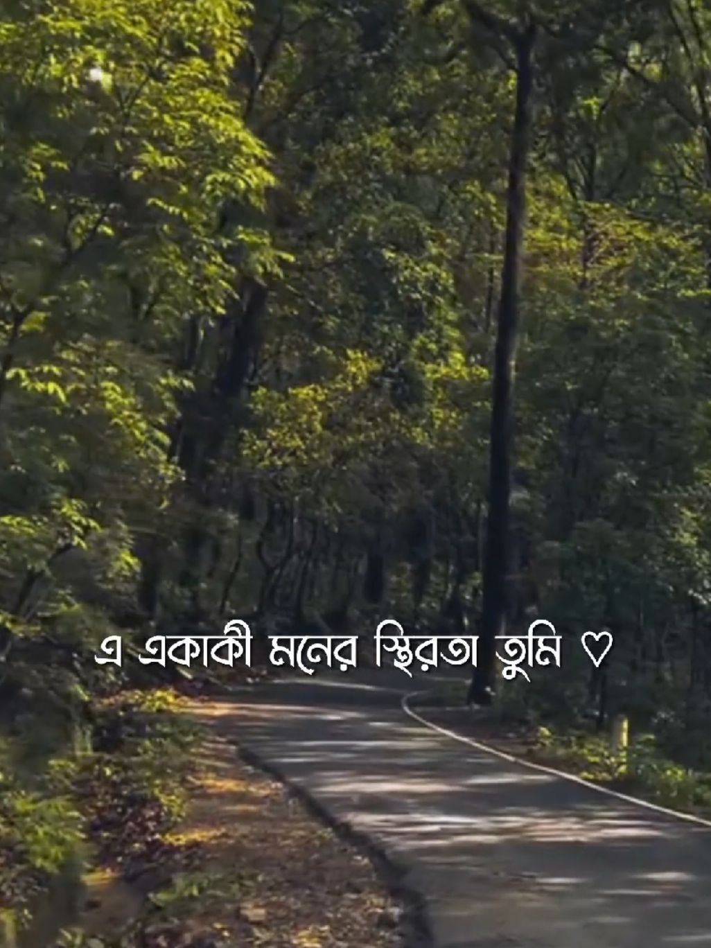এ একাকী মনের স্থিরতা তুমি