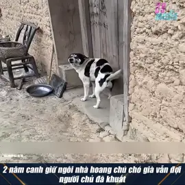 thương em quá 🥹🥹🥹 #giaitri #tunhien #thucung #dethuong 