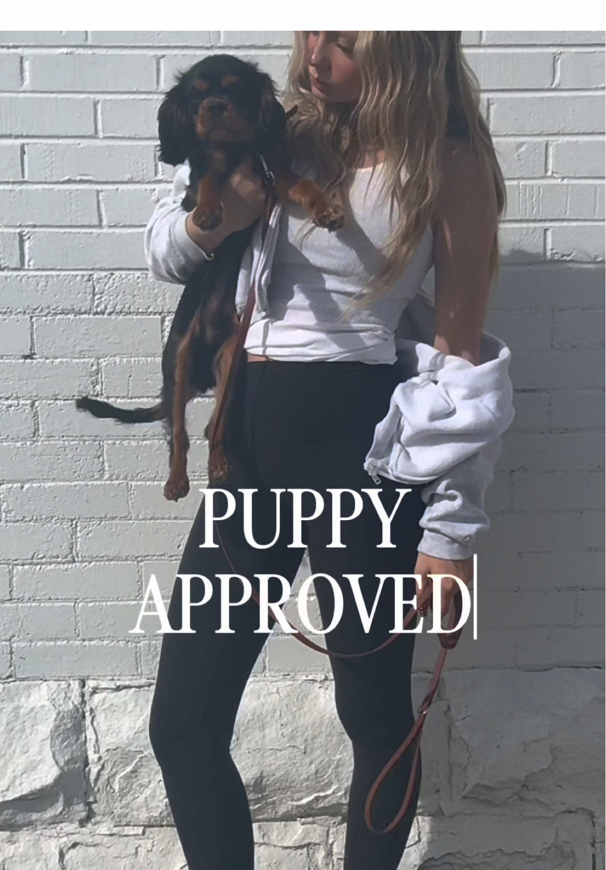 Puppy approved!👟🐾 Tell us a time where your Cloves saved you from a pet mess.  #clove #foryoupage #fyp #puppiesoftiktok #messy @Ashlyngull 