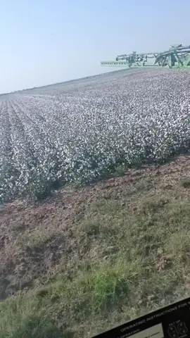 #fypシ゚viral #farm #farming #spraying #cotton 