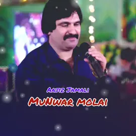 Buss Re Jani Munwar Molai New Song 2025#for #foryoupageofficiall❤️❤️tiktoklover #fory @Munwar Mumtaz Molai @شاعر طان چانگ ❤ @Aajiz jamali06 