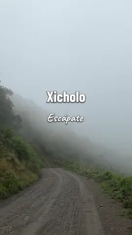 Motivación en náhuatl #Xipatlani #nahuatl #idioma #aprendenahuatl #méxico 