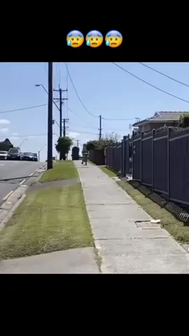 This why I stay home! #😱 #😰 #birdsoftiktok #fyp 