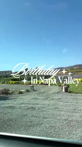 Spent my 29th birthday in Napa Valley 🥂 #libra #fyp #napavalley #CapCut #california 