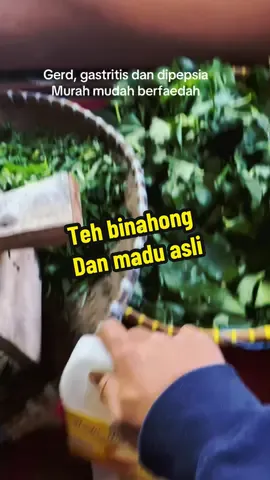 Selalu optimis sembu #gerd #anxiety #gastritis 