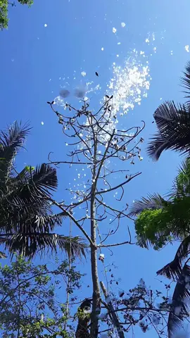 #tiktok #সৌদি_প্রবাসী🇧🇩💓🇸🇦 #বাংলাদেশি_ভাইরাল_টিকটক_ #ইসলামিক_ভিডিও #onthisday @tiktok creators 