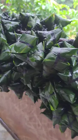 ##xuhuongtiktok  Bánh út lá tre nè cả nhà ơi#