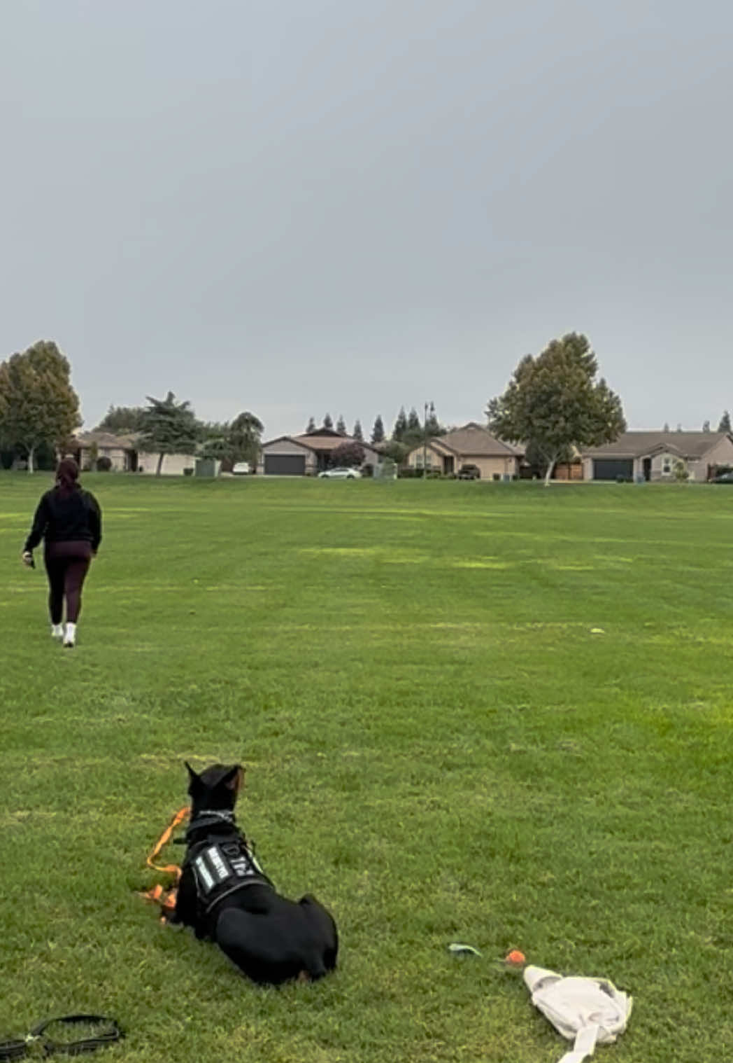 Taking it day by day 🤞#reactivedog #doberman #dogmom 