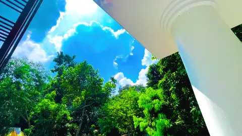 মানুষ না হয়ে যদি আকাঁশ হতাম তাহলে বৃষ্টির বাহানাই কেঁদে দিতাম,,😅🤍#foryou #foryoupage #flowers #highlight #viralvideo #vairal #trending #tiktok #bdtiktokofficial #unfrezzmyaccount 