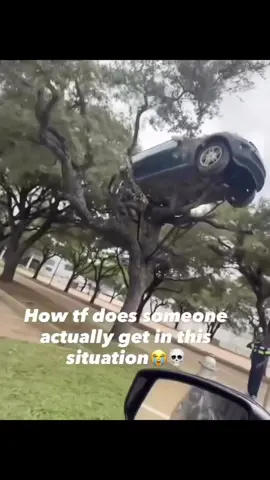 car in the trees 😭 