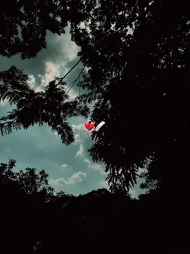 😅💔#CapCut #foryou #foryoupagе #shuvo07446 #fypage @TikTok @TikTok Bangladesh 