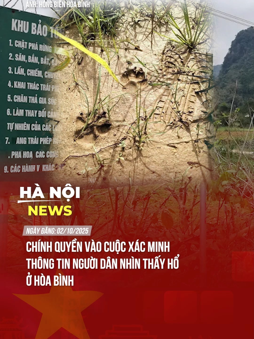 CHÍNH QUYỀN VÀO CUỘC XÁC MINH THÔNG TIN NGƯỜI DÂN NHÌN THẤY HỔ Ở HÒA BÌNH #theanh28 #hanoinews #tiktoknews