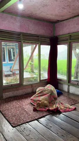 Hujan deras bikin tidur nyenyak 