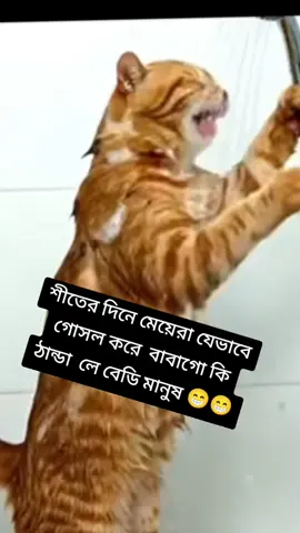 #ফানি_ভিডিও😀😀😀😳মজা #@Tik Tok Bangladesh @TikTok #foryou #vairalvideo 