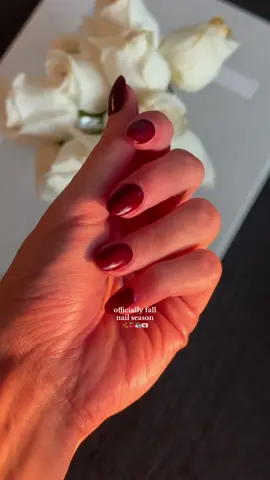 the perfect fall burgundy nails 🍒🍷🍫🍂💌  #fallnailinspo #burgundynails #fyp #nailtok #nailsoftiktok 