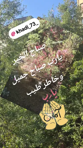 خديجة/Khadija  صورمن الطبيعة/قران كريم/صباح الخير #tiktoklive #قران #كريم #صور #من #الطبيعة #صباح #الخير #pourtoi #fyp #foryour #france #maroc #espana 