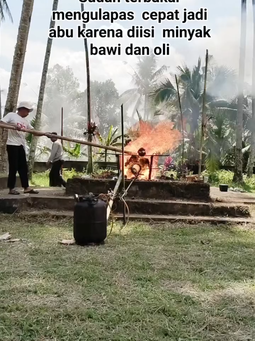 Sudah mulai mengelupas kelihatan putih semoga cepat jadi abu setelah diisi dengan minyak bawi, semoga mendapat yang bagus nini mangku di alam lain #senibudayabali #tradisibali