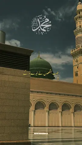 خوب  آنکھوں نے تیرے در کے یہ منظر دیکھے🫀💞🥹views problem 👀#naatsharif #صلى_على_رسول_الله_صل_الله_عليه_وسلم #islamic_video #growmyaccount #fyp @حیات @✨HAYAT✨ 