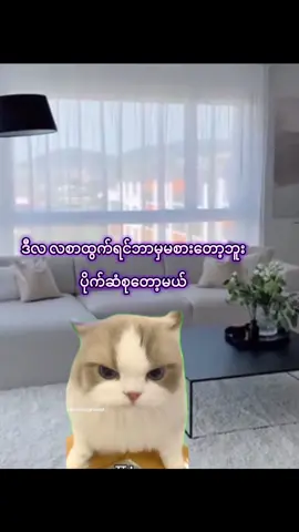 တရက်တည်းနဲ့ဘယ်လိုကုန်မအာင်သုံးလိုက်တာလဲမသိဘူး🤣#မြောင်မြောင်မြောင်😻😻😻 #ဟာသလေးအားပေးပါအုံး🤣🤣🤣😅 #fyp #foryoupageofficiall #creatorsearchinsights 