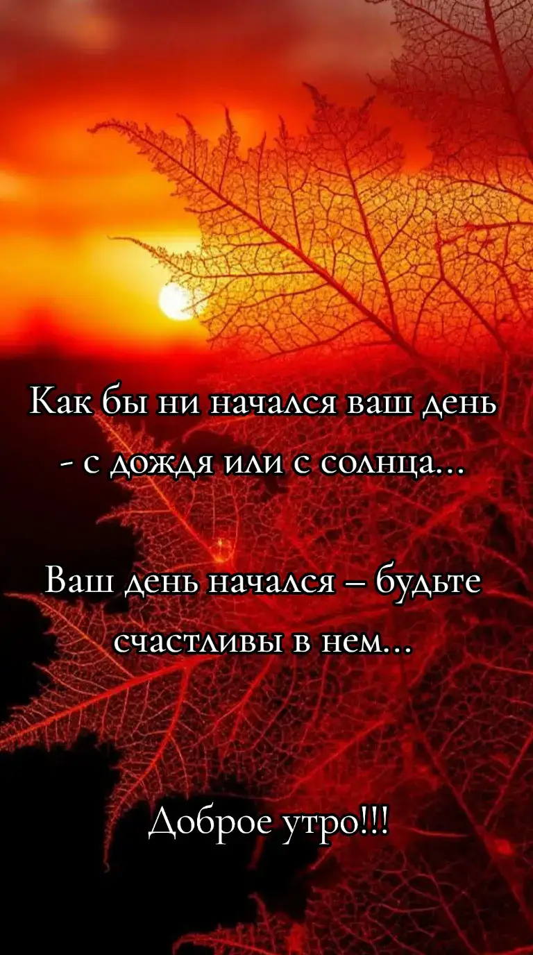 #MUSTANG #доброеутро #
